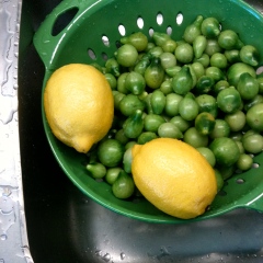 Green Tomatos and Lemon